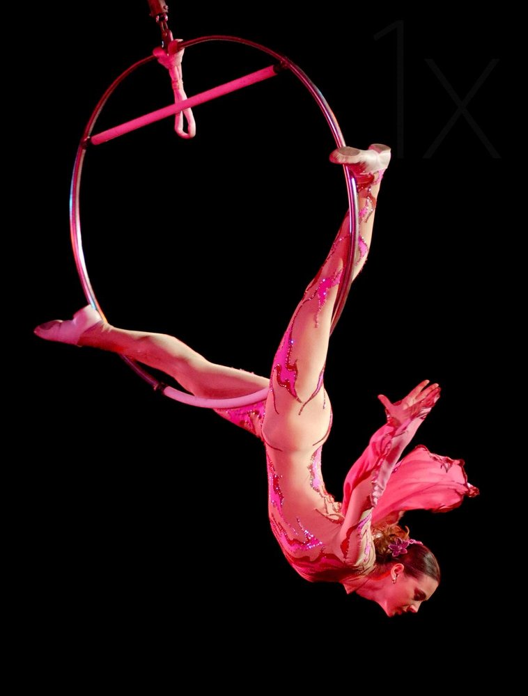 Elegant Aerial Lyra