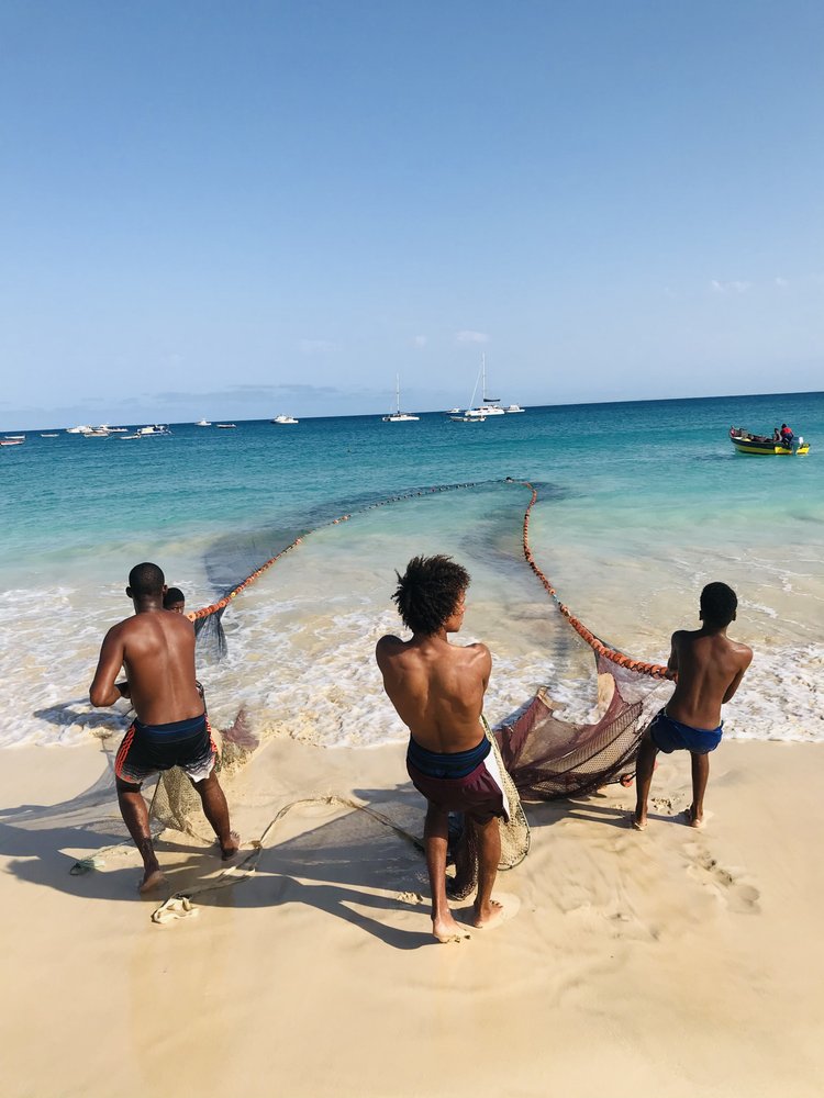Beach Net Fishing