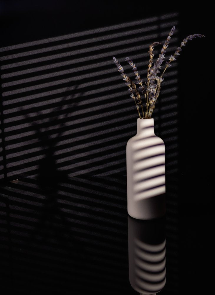 Lavender Window Shadows