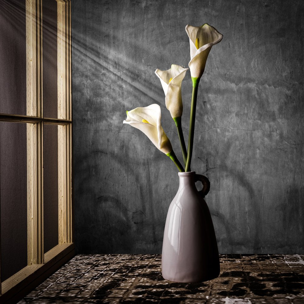 Calla Lilies In Sunlight
