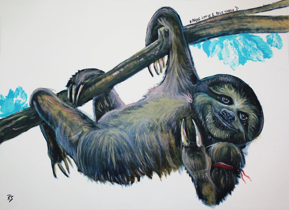 Happy Hanging Sloth