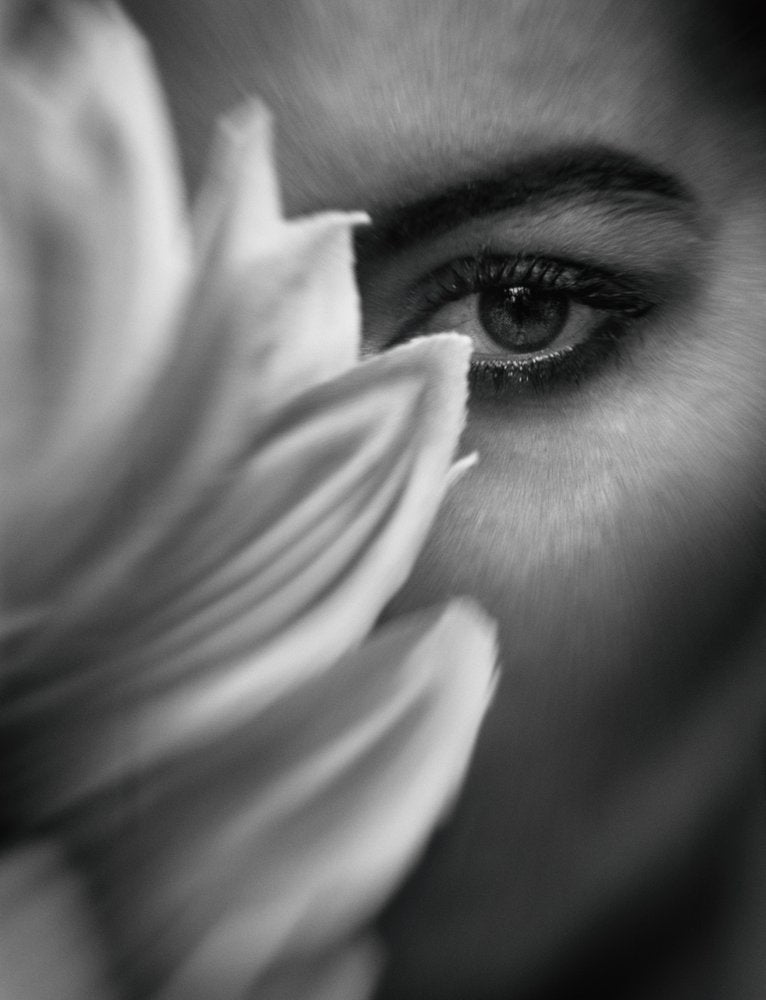 Soft Gaze Bloom