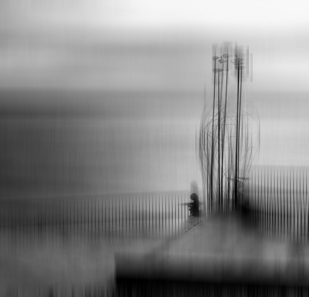 Serene Solitude