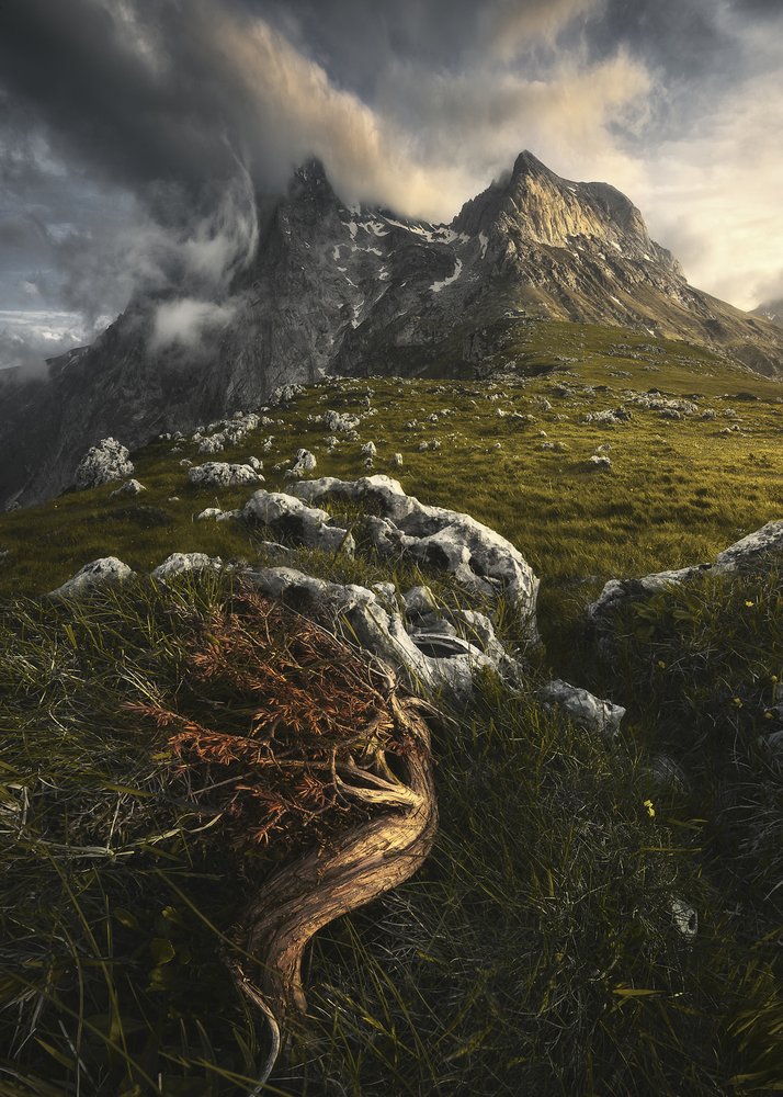 Dramatic Alpine Vista