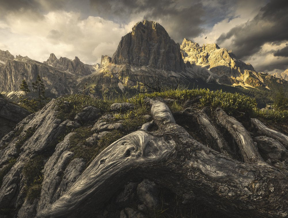 Golden Alpine Wilderness