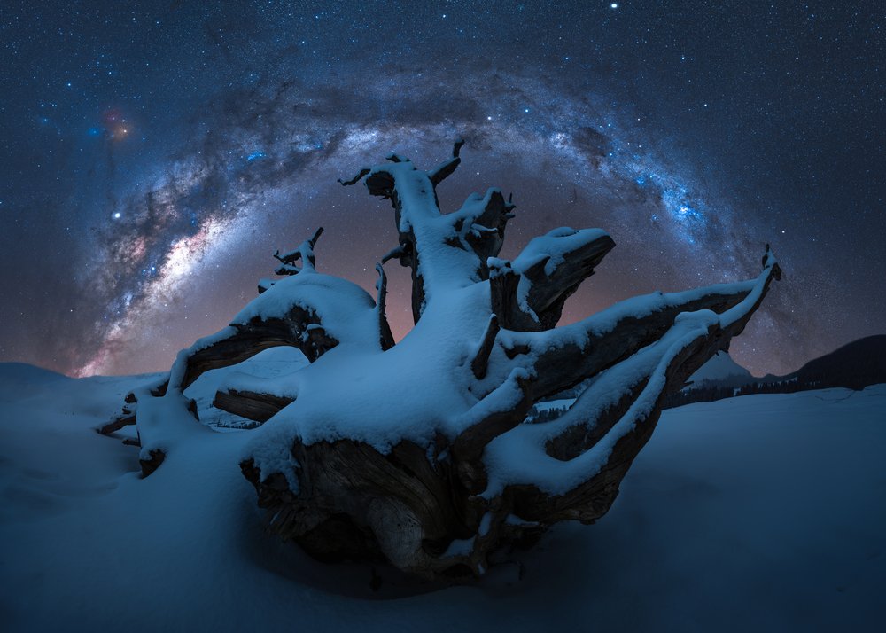 Snowy Tree Milky Way