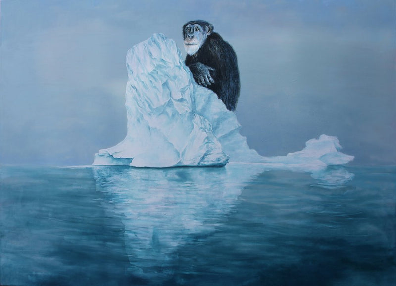 Chimpanzee on Iceberg