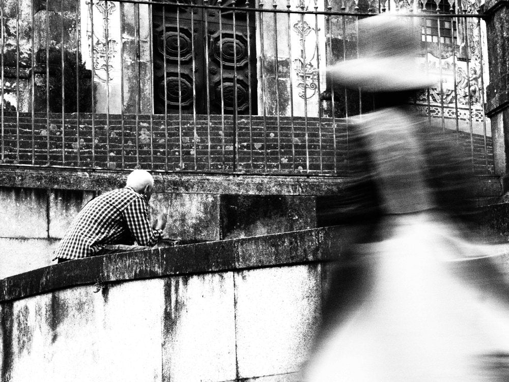Contemplation In Motion