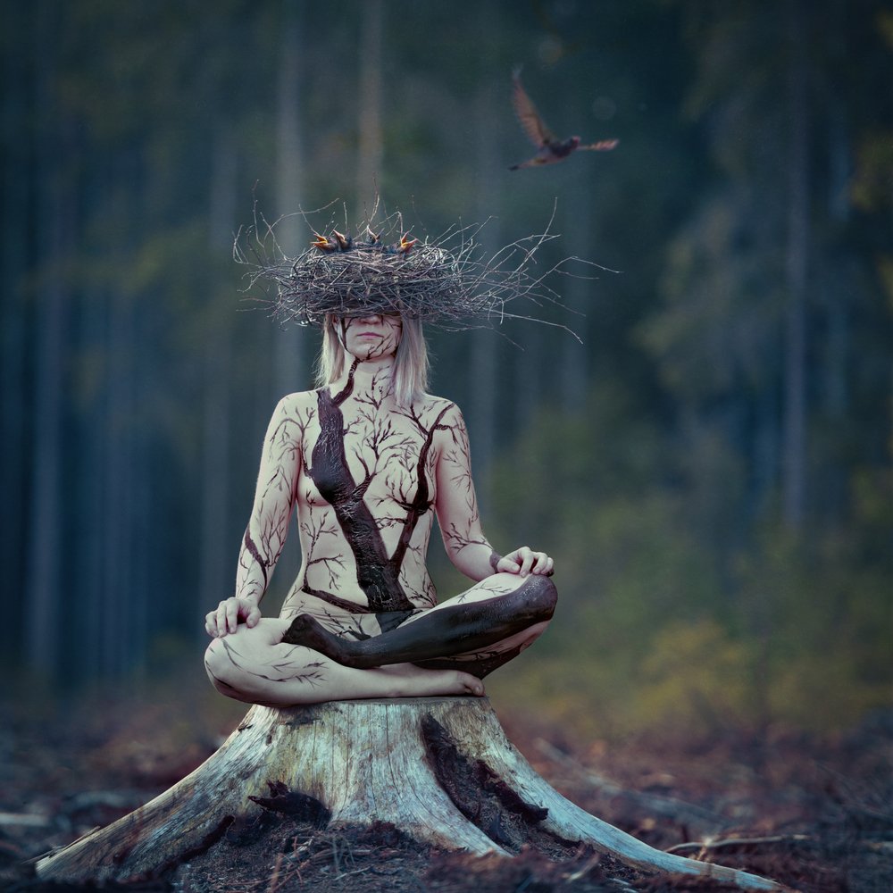 Forest Spirit Meditation