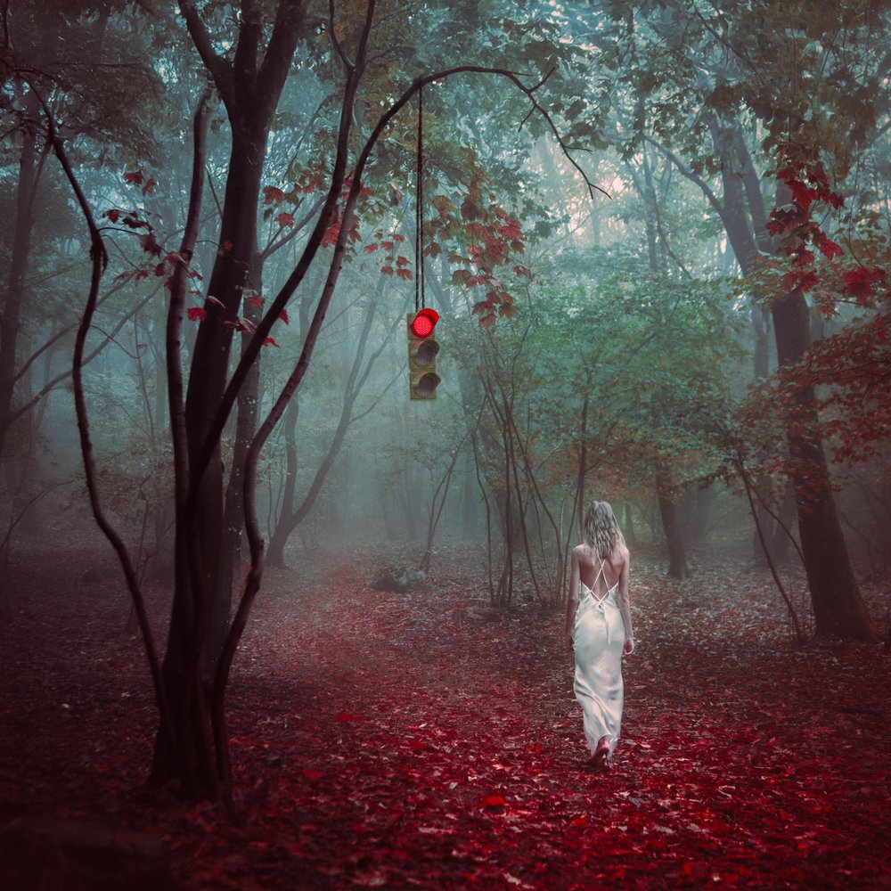 Misty Forest Red Light