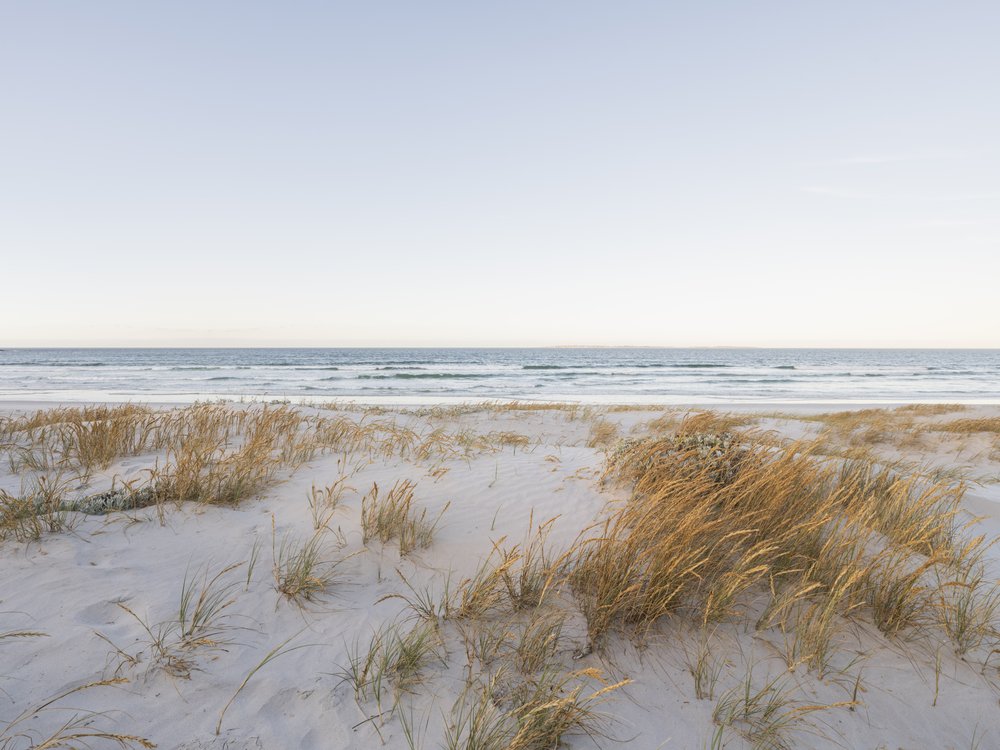 Serene Coastal Sands
