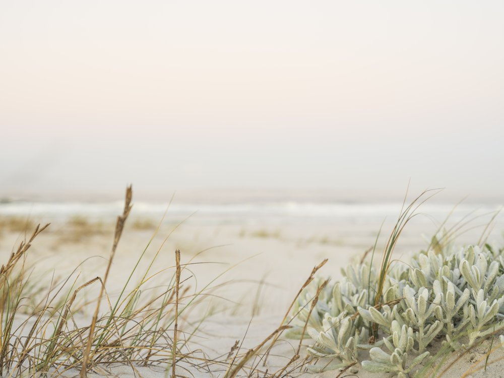 Coastal Whispers in Pastel