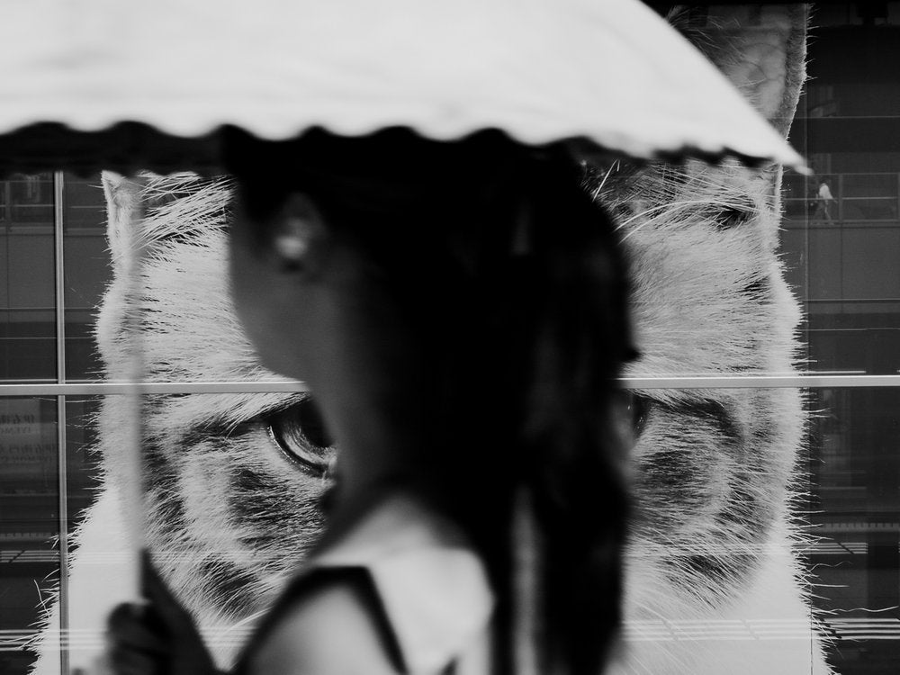 Woman and Giant Cat Eye