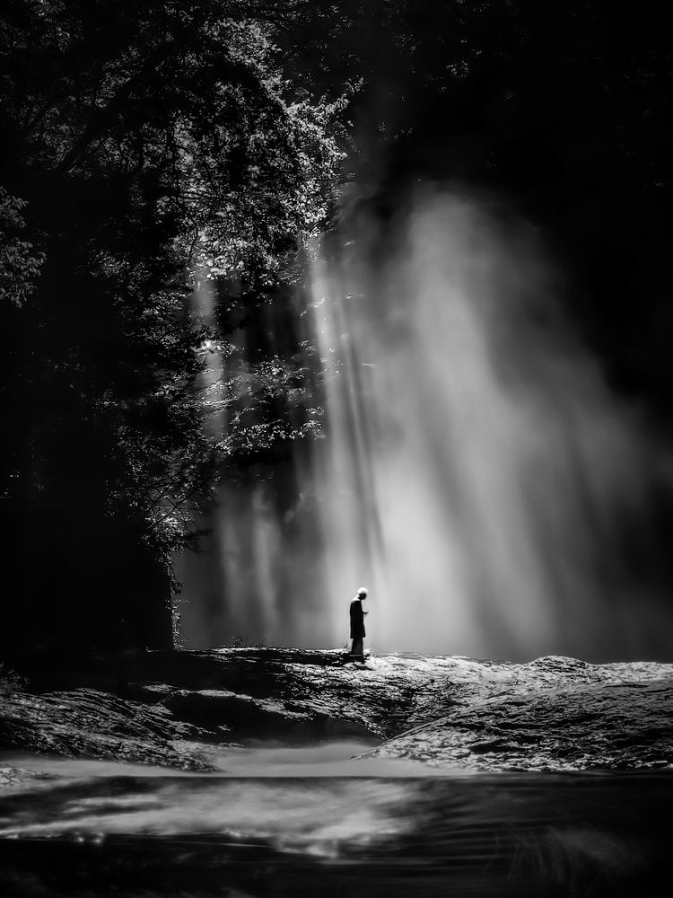 Solitary Forest Light