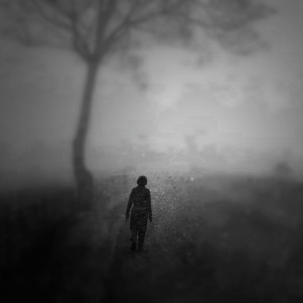 Misty Path Solitude