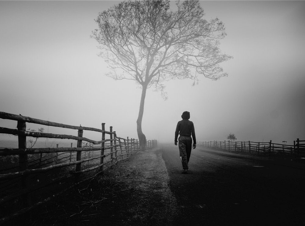 Solitary Walk in Fog