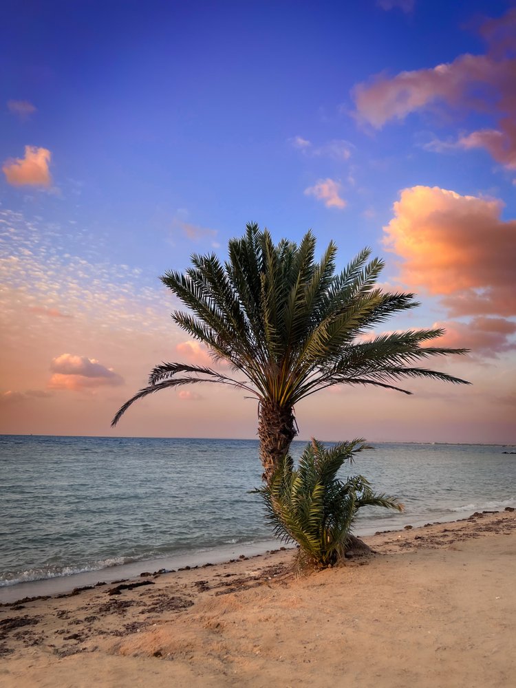 Tropical Beach Sunset