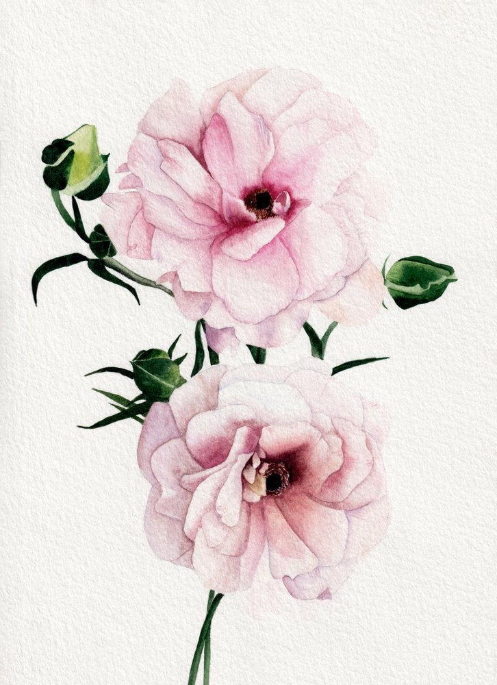 Pink Watercolor Blooms