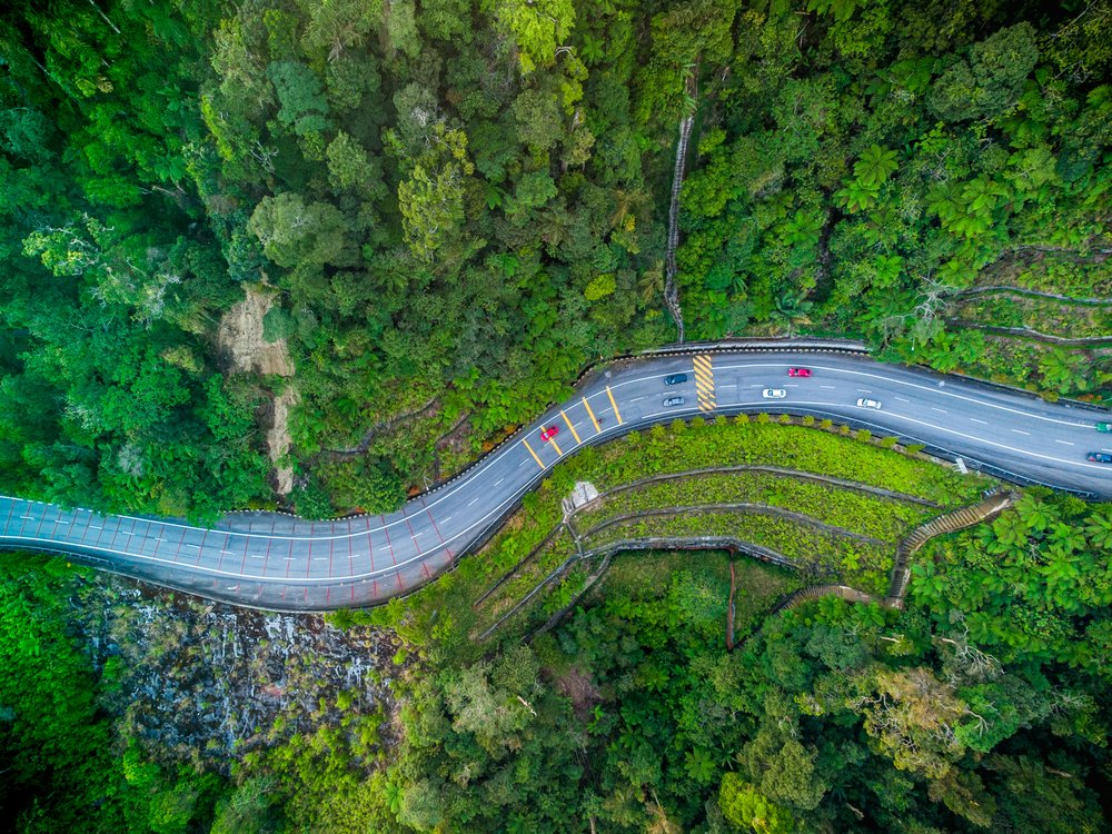 Winding Forest Road