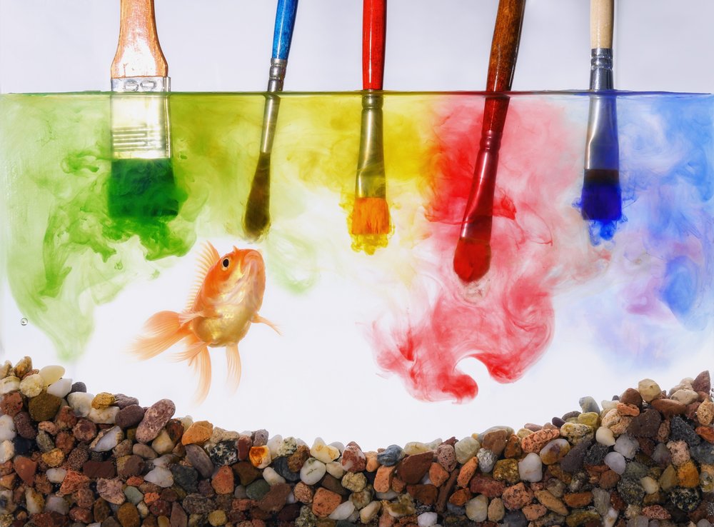 Goldfish And Brushes