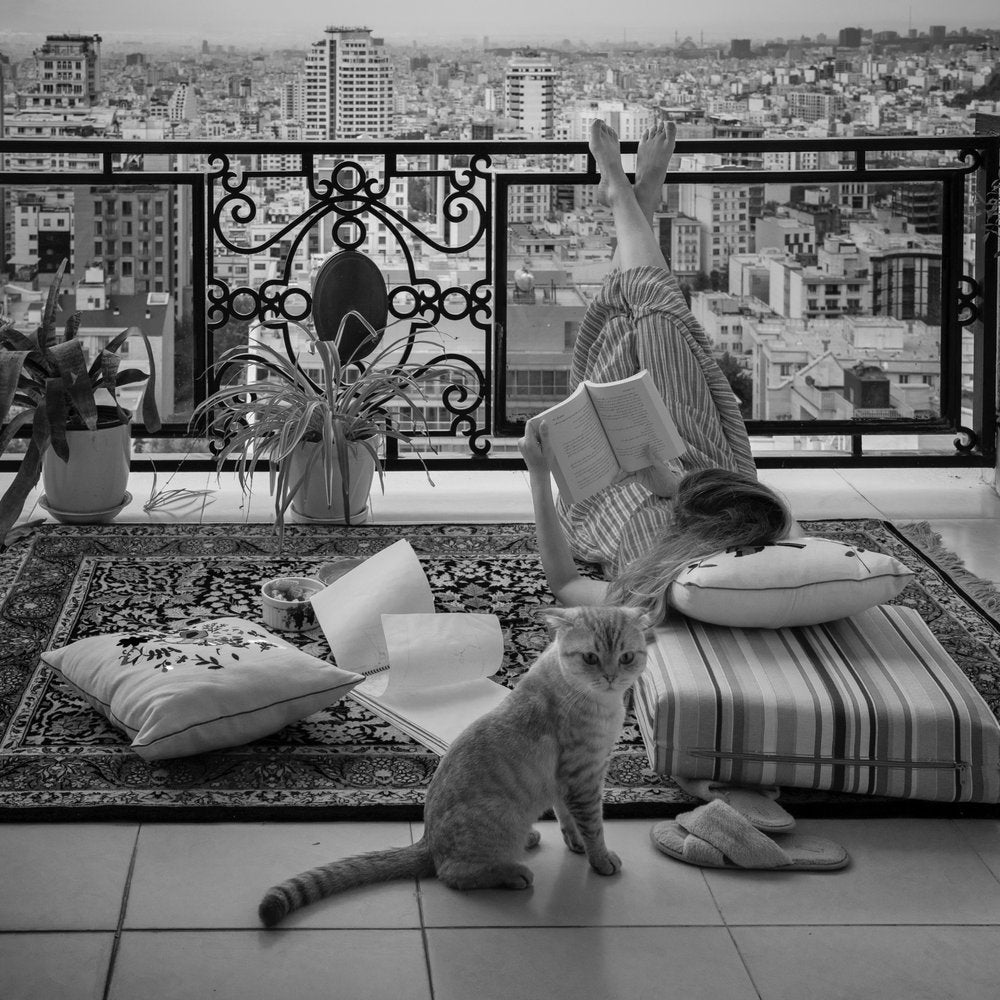 Balcony Reading with Cat