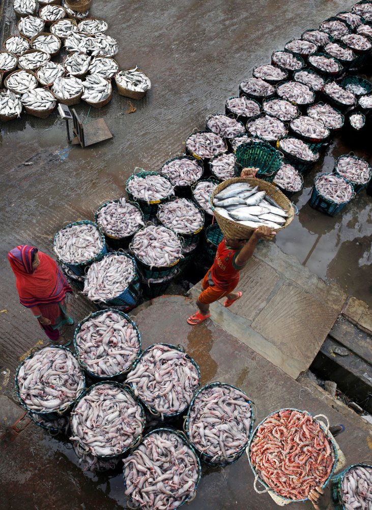 Fresh Fish Market