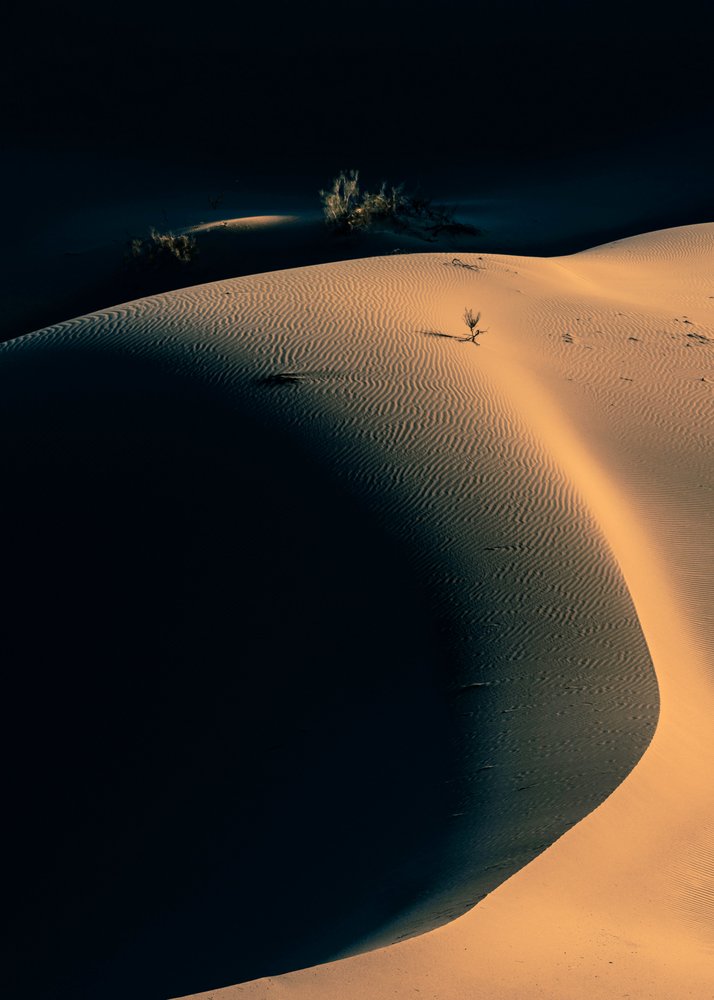 Dune Shadow Play