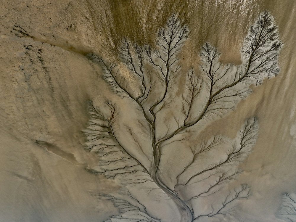 Aerial River Delta