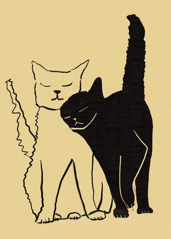 Cuddling Cat Couple