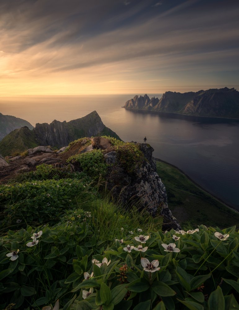 Golden Hour Fjord View