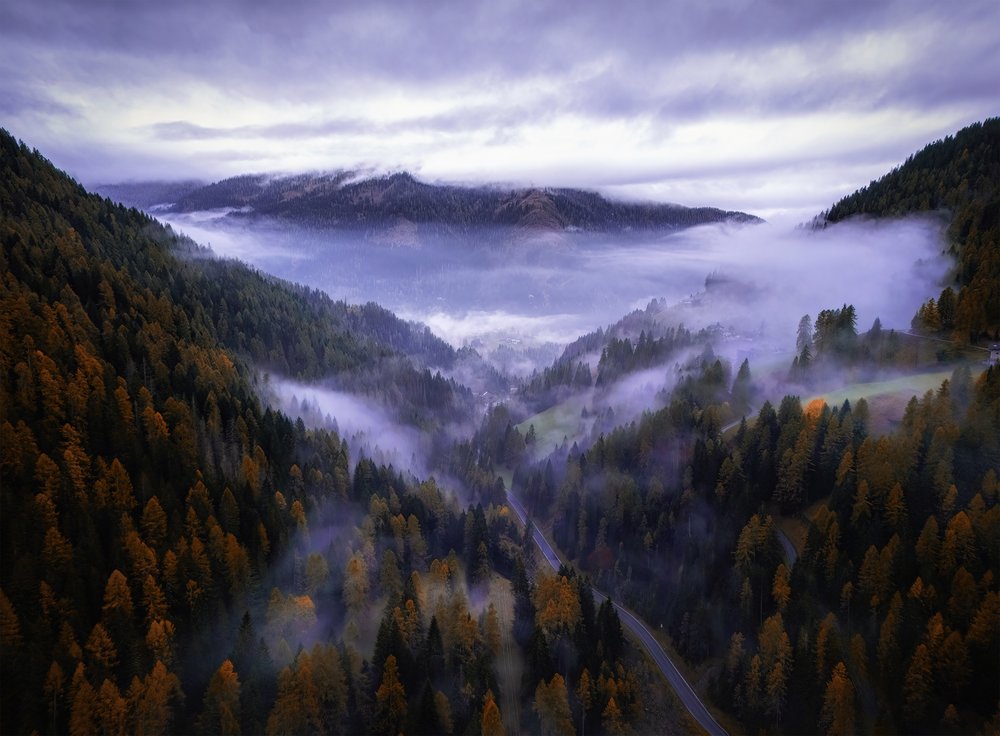 Misty Mountain Valley