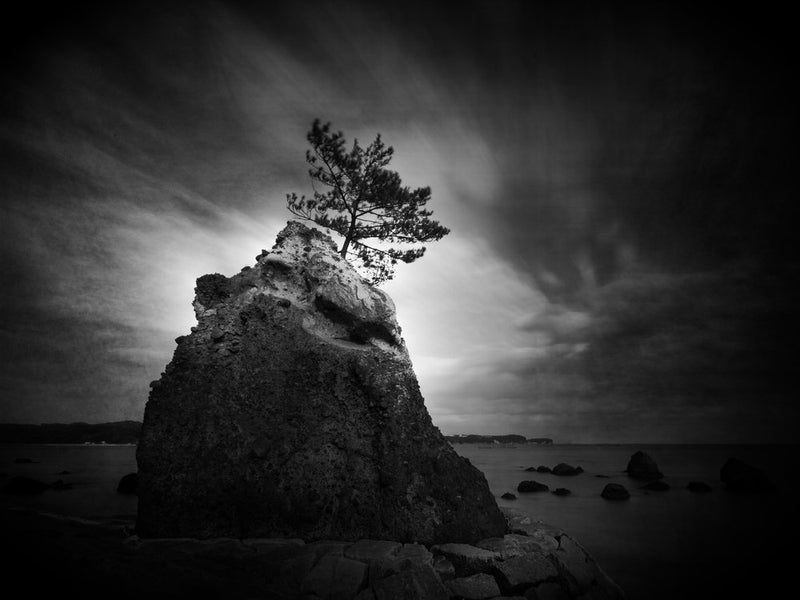Dramatic Rock Tree