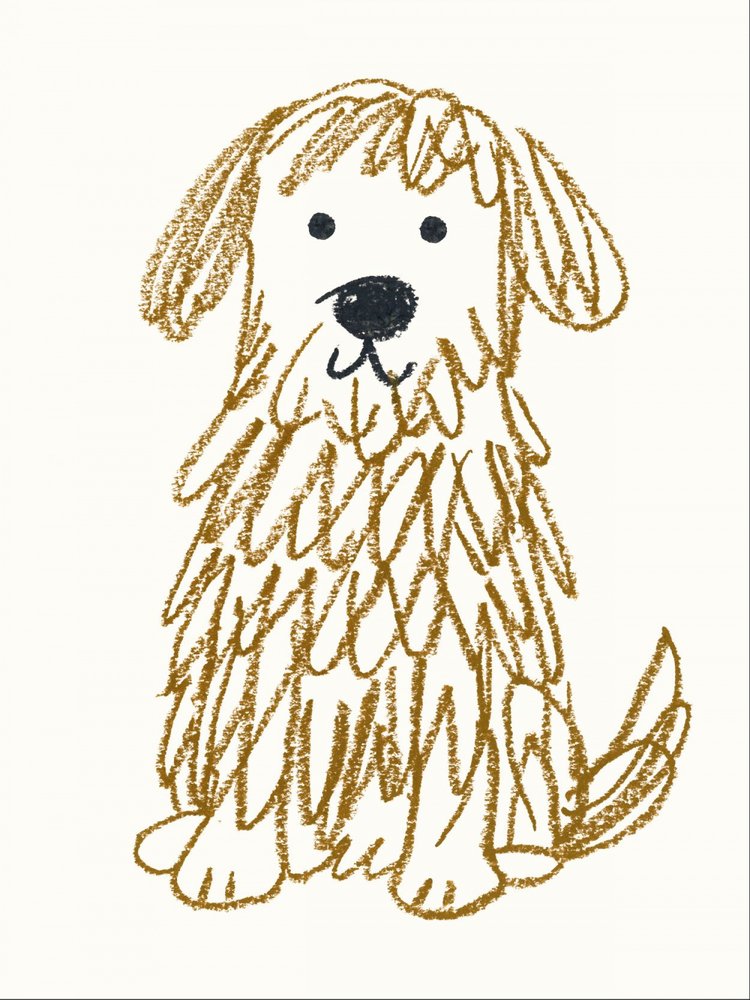 Cute Shaggy Dog