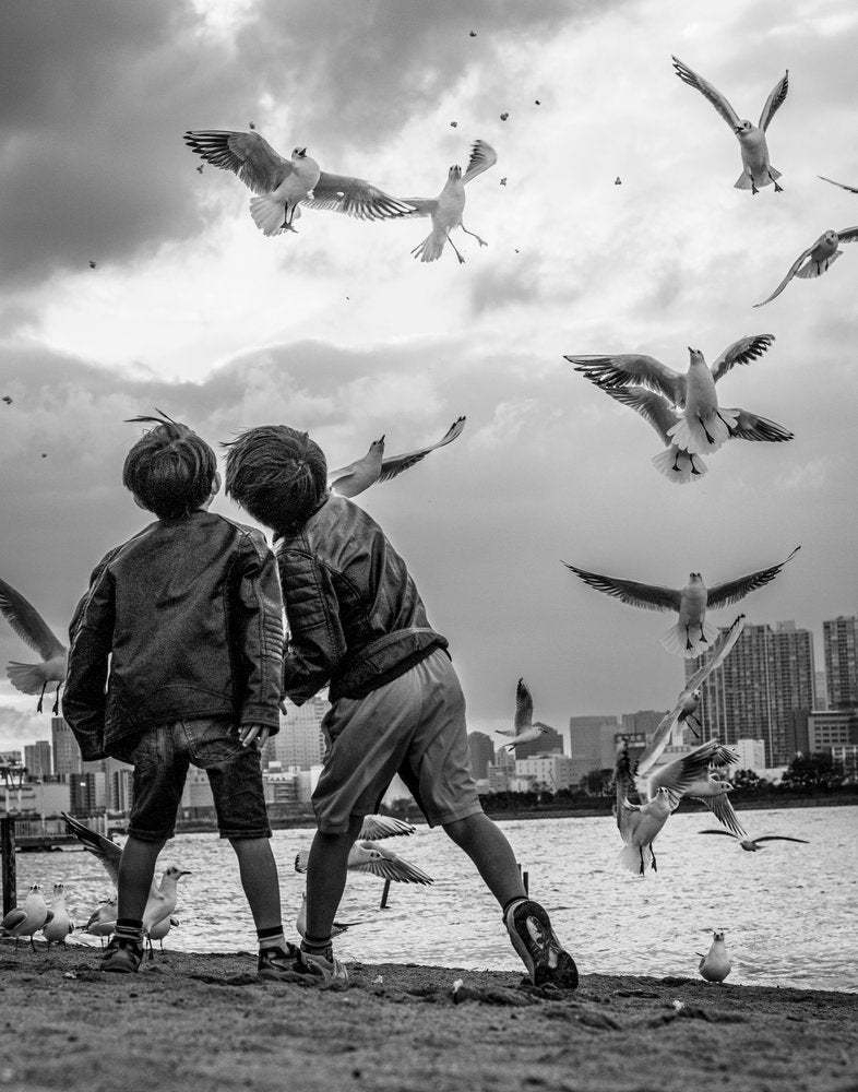 Boys Watching Seagulls