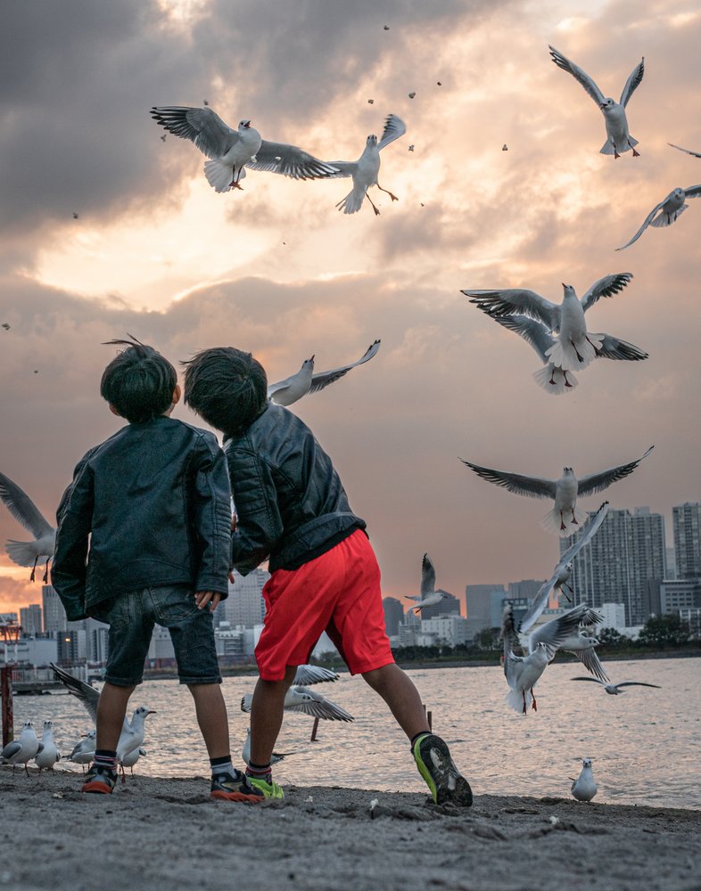 Children and Flying Seagulls