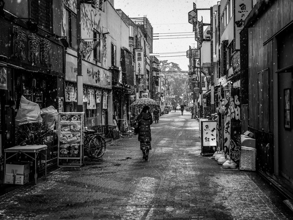 Winter Stroll in Japan