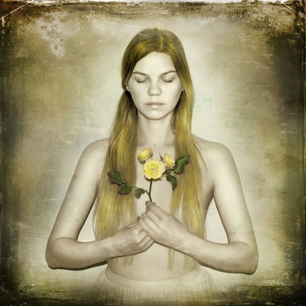 Golden Rose Serenity