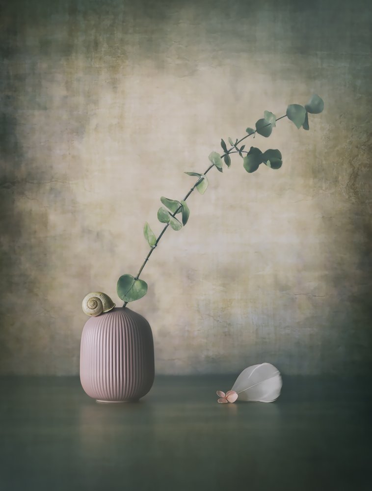 Eucalyptus Snail Pink Vase