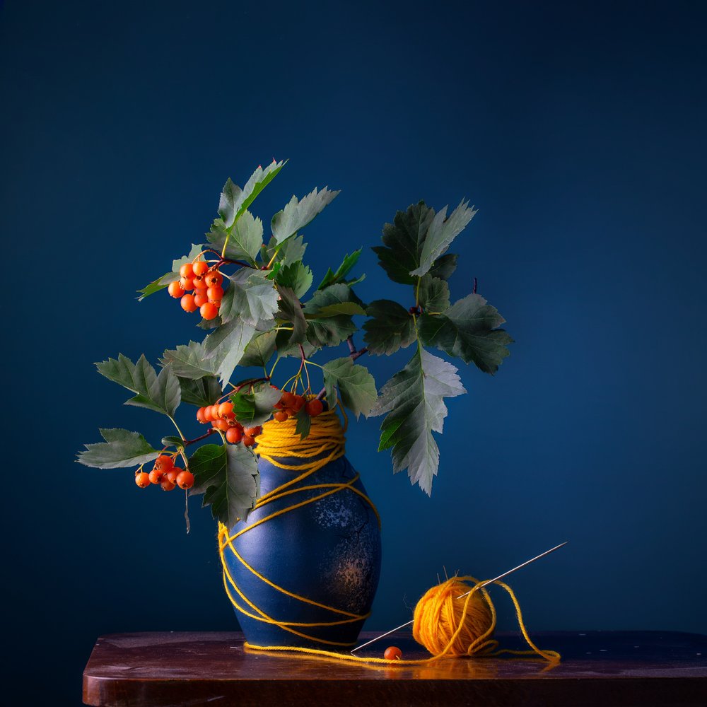 Hawthorn Berries and Yarn