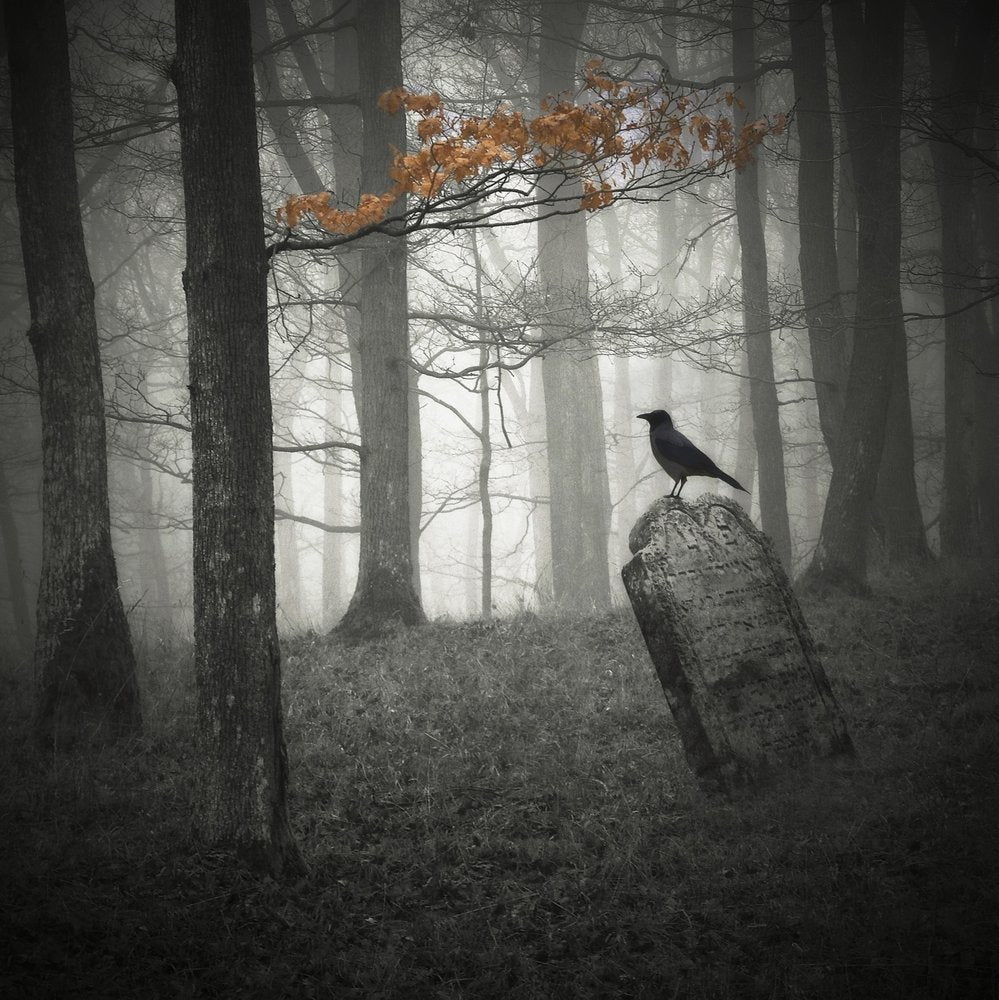 Crow on a Tombstone