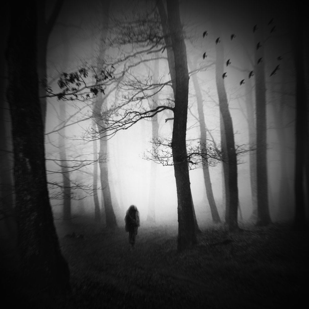 Mysterious Foggy Forest Walk