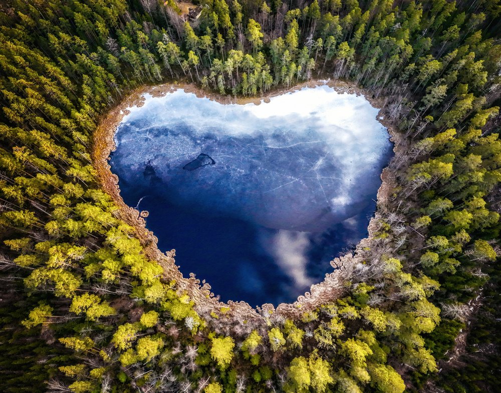 Heart Lake Forest