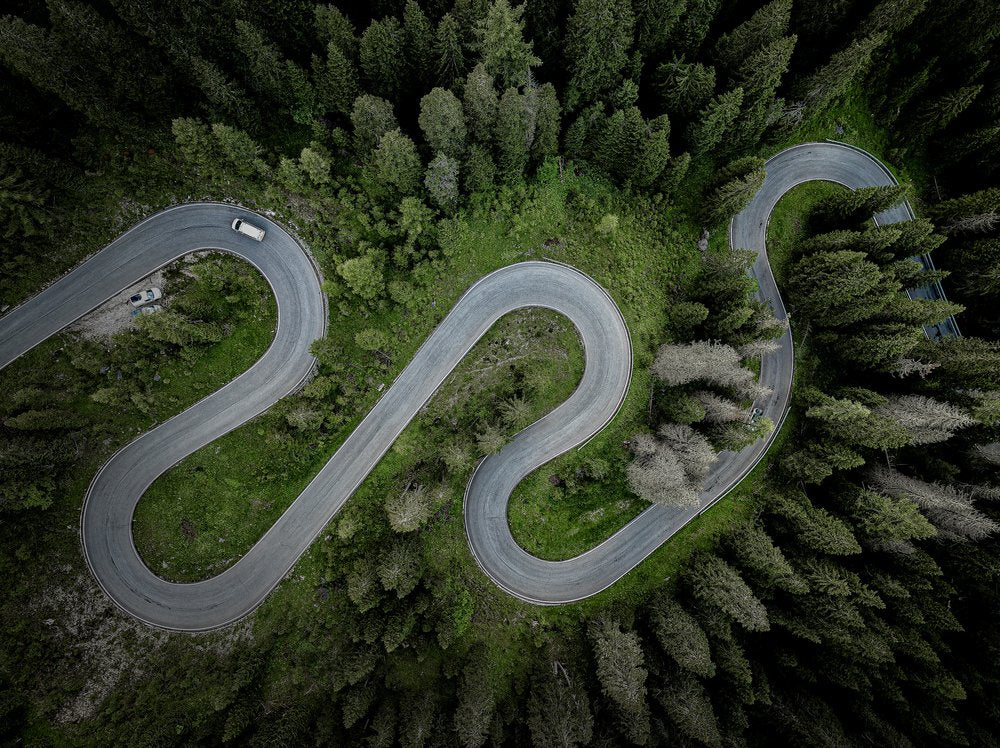 Winding Forest Road