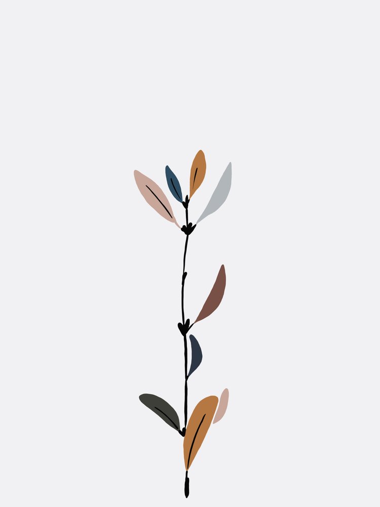 Elegant Plant Drawing