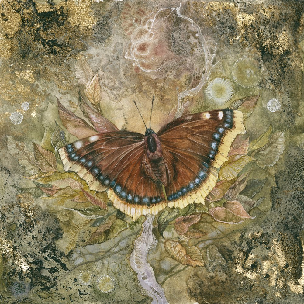Ethereal Butterfly Wings
