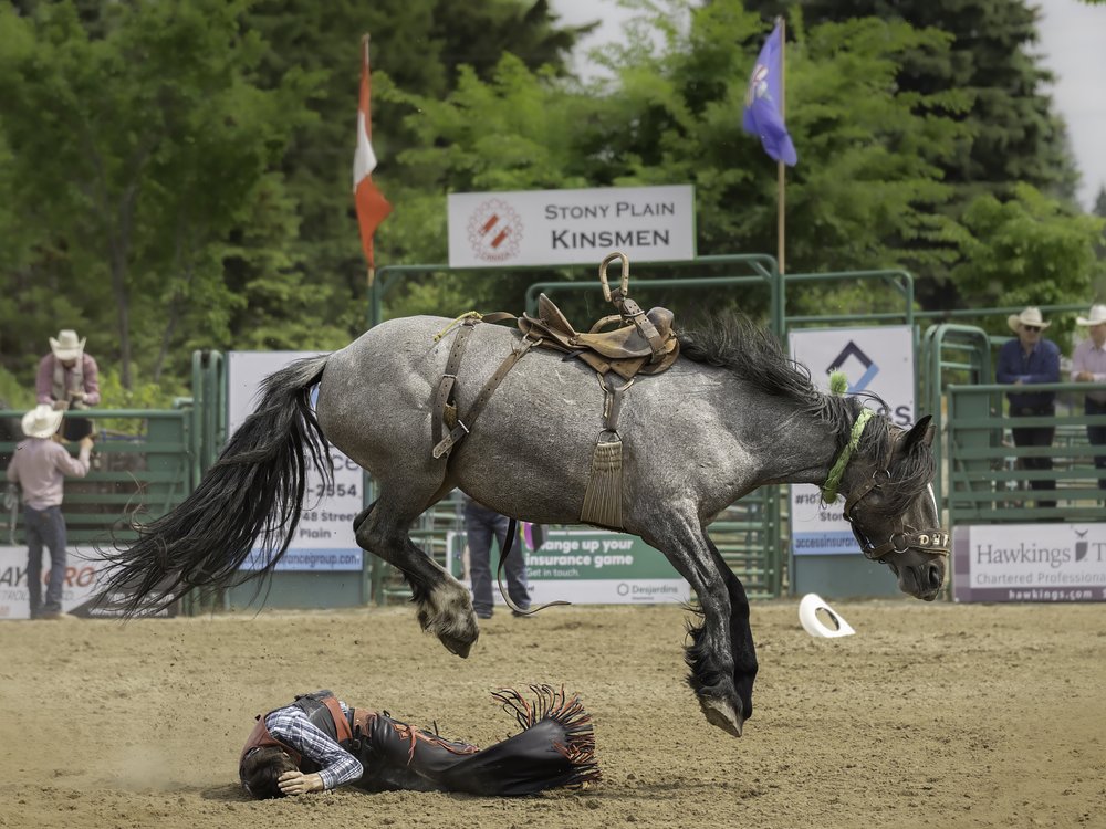 Rodeo Cowboy Thrown