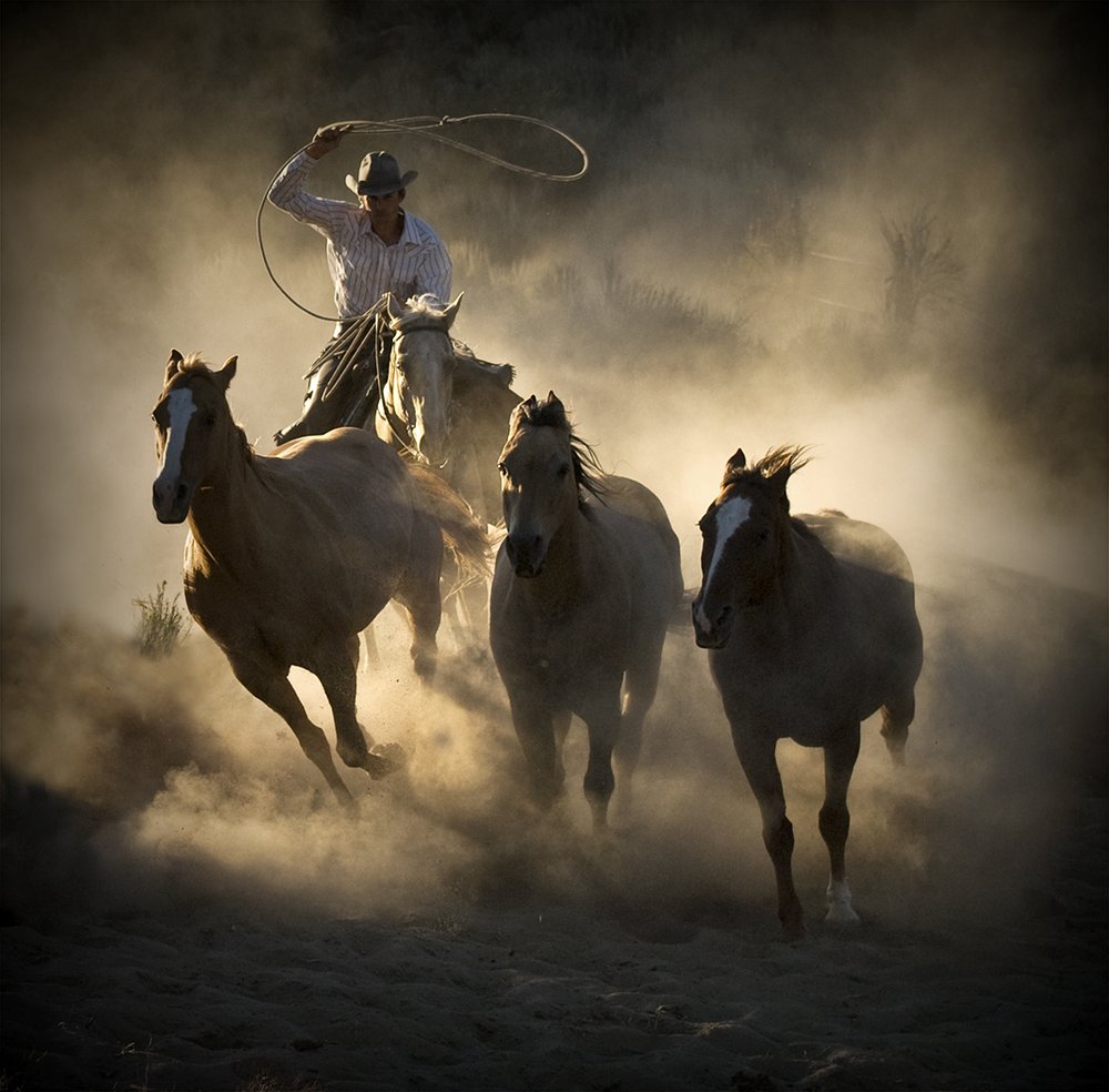Western Horse Chase