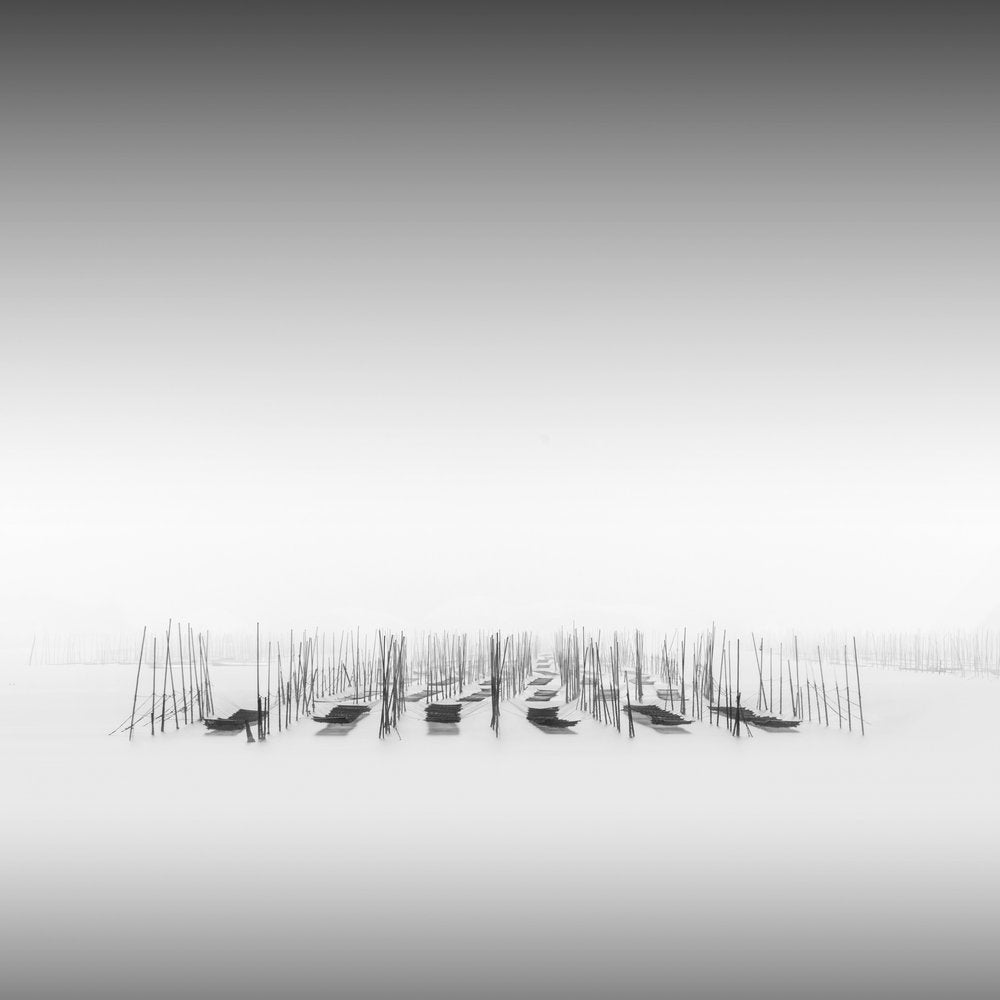 Quiet Boats In Mist