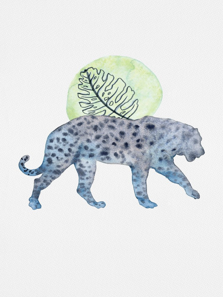 Spotted Leopard Monstera