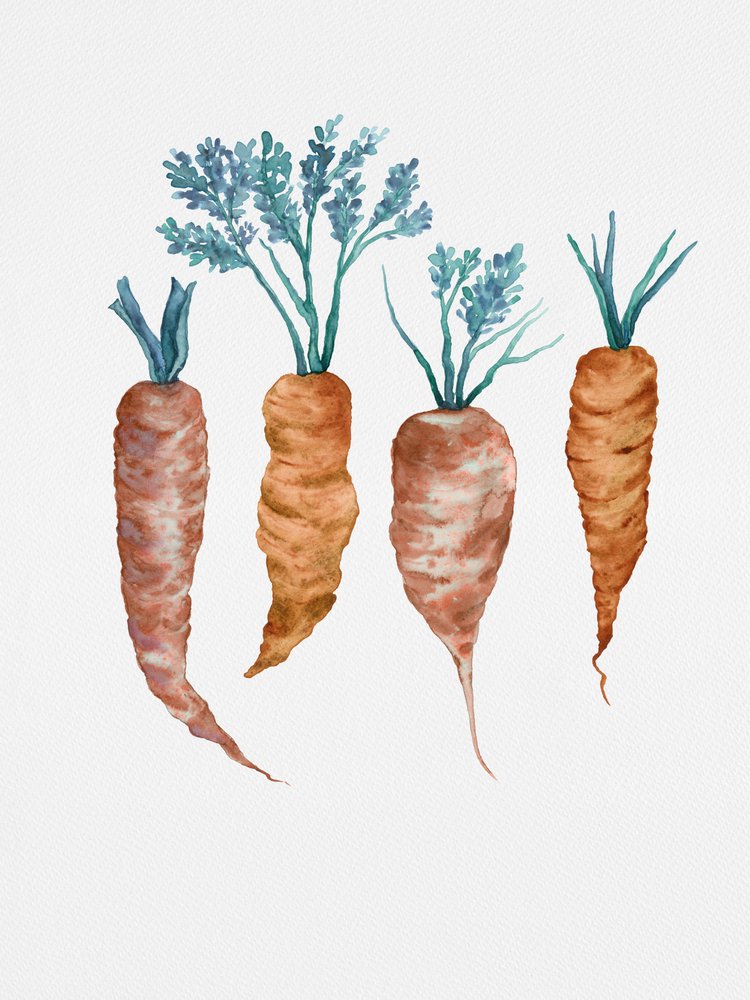 Rustic Watercolor Carrots